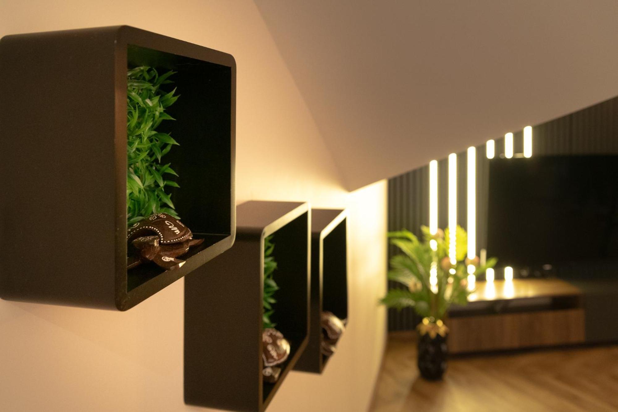 Fenix Apartments Сокобаня Екстер'єр фото
